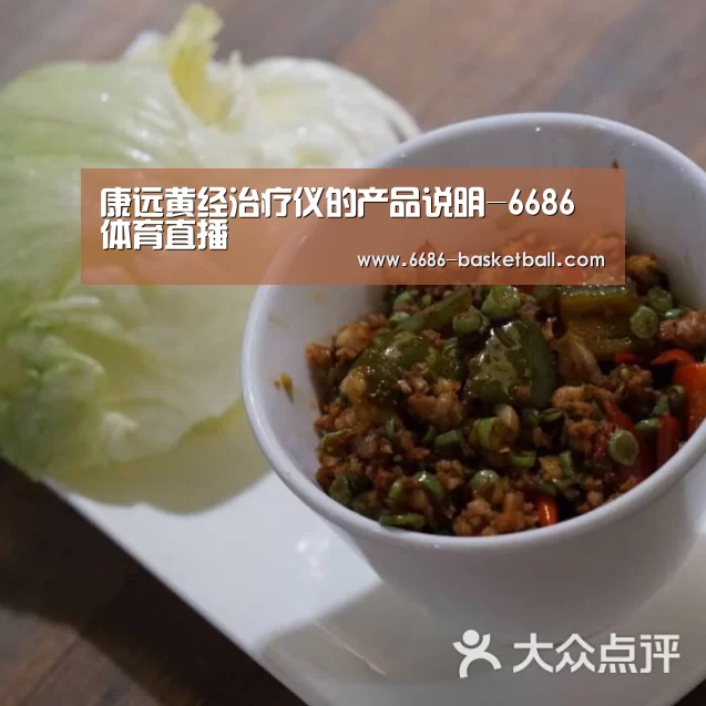 康远黄经治疗仪的产品说明-6686体育直播(图2) 6686足球竞猜